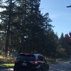 Mnoštvo metalnih kuglica napravilo kolaps na saobraćajnici u Seattleu