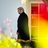 AFP: Eksplozivne naprave su upućene Trumpovim protivnicima