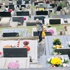 Katolici u Mostaru obilježavaju blagdan Svi sveti: Sjećanje na one koji više nisu tu