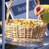 Lažni volonteri kod sarajevske katedrale tvrde da prikupljaju novac za djecu oboljelu od raka