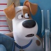 Stiže nastavak animiranog hita "The Secret Life of Pets"