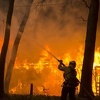 Požari u Californiji najrazorniji u historiji SAD-a, poginulo 11 ljudi