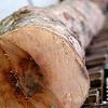 FL Wood: Žalimo zbog kašnjenja isporuke peleta, nismo imali namjeru oštetiti kupce