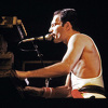 Freddie Mercury: Zvjezdani put od dna do vrha