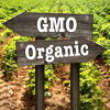 Kakvu hranu jedu stanovnici BiH, GMO uvijek zahtjeva predostrožnost