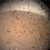 "Lijep i sunčan dan" na Marsu: InSight poslao prvu fotografiju sa Crvene planete