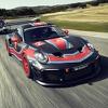 Porsche predstavio 911 GT2 RS Clubsport: Samo za stazu