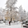 Snijeg će obilježiti cijelu sedmicu, temperature na planinama i do minus 12