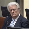 Karadžić zatražio da bude pušten na slobodu do pravosnažne presude