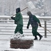 Snijeg na sarajevskim ulicama čisti 56 vozila i 130 radnika zimske službe