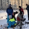 Nekima i ne treba planina: Na Alipašinom Polju sunčan dan djeca iskoristila za sankanje