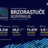 Prihod brzorastućih kompanija u BiH se mjeri u milijardama KM