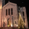Holiday Market donirao jelku i kićenje jelke Župi sv. Josipa na Marijin Dvoru
