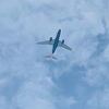Avion kompanije FlyBosnia napravio nekoliko krugova na nebu iznad Sarajeva