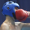 Više od 700 učesnika na međunarodnom kick boxing kupu "WAKO Grand Prix BiH"
