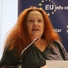 Zurovac: Iznenađuje me što inteligentni ljudi u BiH nasjedaju na lažne vijesti