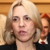 Cvijanović u Beču: Političko Sarajevo je paralizovalo BiH