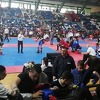 Sve spremno za borilački turnir: Stiže devet reprezentacija sa 500 takmičara