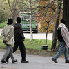 Policijska potjera za migrantima u Bijeljini, 30 policajaca učestvovalo u akciji