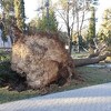 Štab za vanredne situacije u Trebinju: Građani, ne izlazite iz objekata