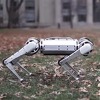 Mini Cheetah robotski pas može napraviti salto unazad