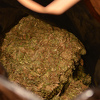 Crnogorska policija zaplijenila 84 kilograma marihuane