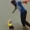 Indijac pomoću turbana uspio spasiti psa koji se davio u kanalu