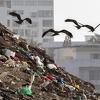 U Nairobiju 170 zemalja obećalo značajno smanjenje upotrebe plastike