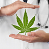 Pušenje medicinske marihuane sada je legalno na Floridi