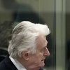 Karadžić zbog izrečene kazne doživotne robije neće moći tražiti izlazak na slobodu