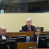 Radovan Karadžić uložio žalbu na doživotnu kaznu zatvora