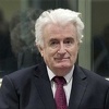 Karadžićev advokat tvrdi da osuđeni zločinac ima pravo na dva pravna lijeka