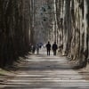 Uskoro rekonstrukcija Velike aleje prema Vrelu Bosne, početak radova u aprilu