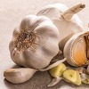 Bijeli luk je jedan od najmoćnijih prirodnih antibiotika
