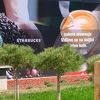 Prvi Starbucks kafić u našoj regiji bit će otvoren 15. aprila u Beogradu