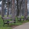 Pronađeno beživotno tijelo muške osobe u parku u Banjoj Luci
