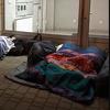 O migrantima koji svakodnevno pristižu u Tuzlu brigu vode volonteri, vlasti ne žele pomoći
