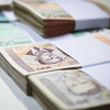 Dobit mikrokreditnog sektora u FBiH u protekloj godini iznosila 20,9 miliona KM