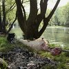 Radnička prava u BiH: Ko ima razloga za proslavu 1. maja i slobodnog dana
