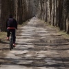 Počinje obnova Velike aleje na Ilidži, radovi će koštati blizu 100.000 KM