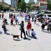 Građani Sarajeva potpisali peticiju protiv gradnje zgrade u Hastahani