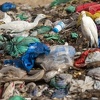 Vlade 187 država postigle dogovor o smanjenju plastičnog otpada u okeanima