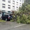 Vjetar u Zagrebu lomio stabla, rušio bilborde i nosio krovove