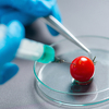 U Sarajevu promocija bh. certifikata "Bez GMO"