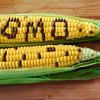 BiH prva u regionu dobila domaće proizvode sa oznakom "proizvedeno bez GMO"