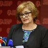 CIK tvrdi: Iz drugih stranaka se miješaju, čak se član SDA pokušao učlaniti u SDP da bi glasao