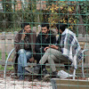 Policija Republike Srpske smatra da bi eskalacija migrantske krize mogla trajati godinama