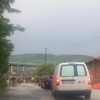 Krdo krava na ulici u Buća Potoku iznenadilo vozače i zaustavilo saobraćaj