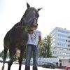 Ispred OHR-a potkovan konj Milan, policija uzela podatke aktivisti