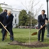Osušilo se drvo prijateljstva koje su Trump i Macron posadili u Washingtonu